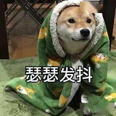 福州急速降温!接下来还有冷空气