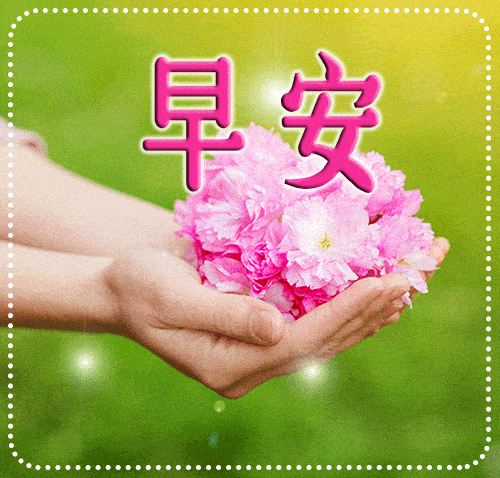 a9b8ca498b0344299ef7941175555970.gif