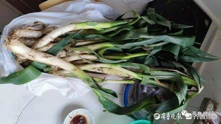 济南社区团购大火：上百家平台抢市场，一座楼