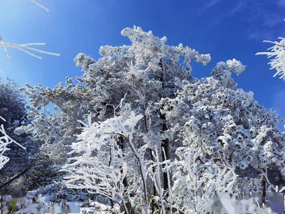 雪天登乌龙山 欣赏绝美雪景_建德市