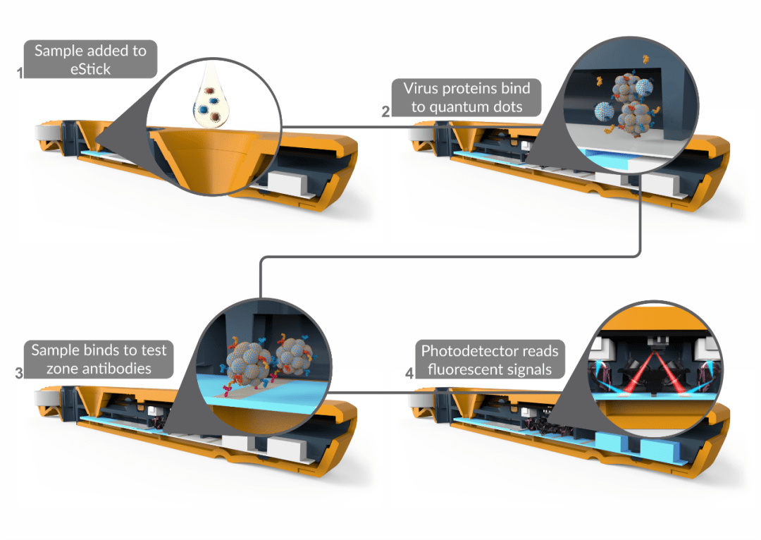 2020年澳大利亚人均G_澳大利亚国旗