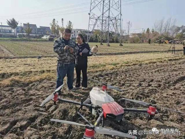 人均种田_农民种田图片