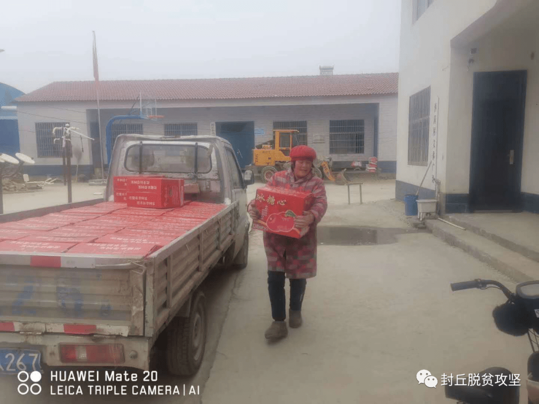 封丘县带贫企业系列报道之二冯村乡栽下梧桐树引来金凤凰