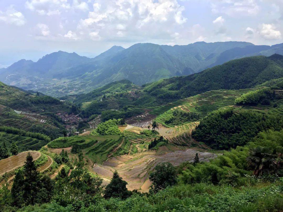 沈旦人口_沈旦中学图片