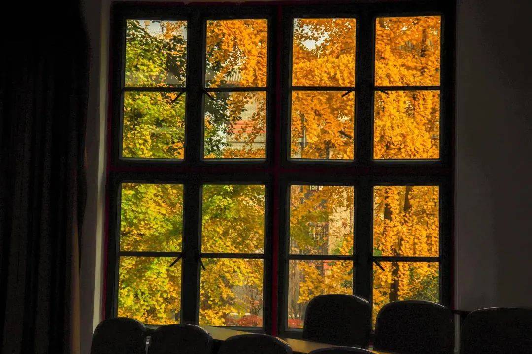 成都学院排行_重庆大学第三!川渝地区大学排行榜出炉!