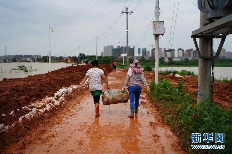 大姐|2020，她们才是乘风破浪的姐姐！