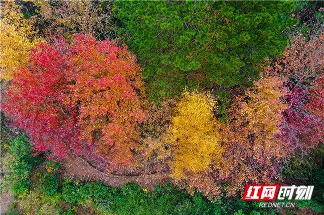 岘山镇的小山村景色怎么这么美