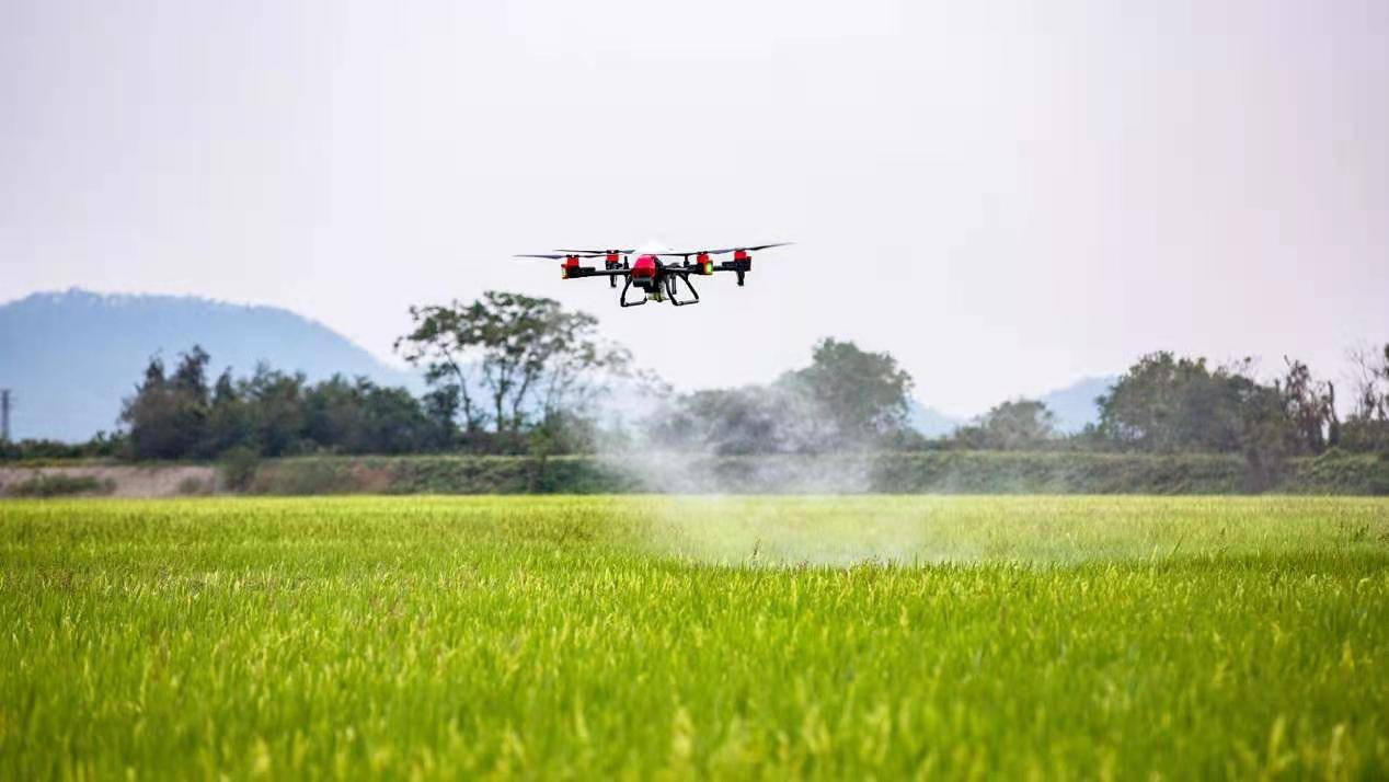 农业|无人机企业进军农业 农业无人化种植还有多远？