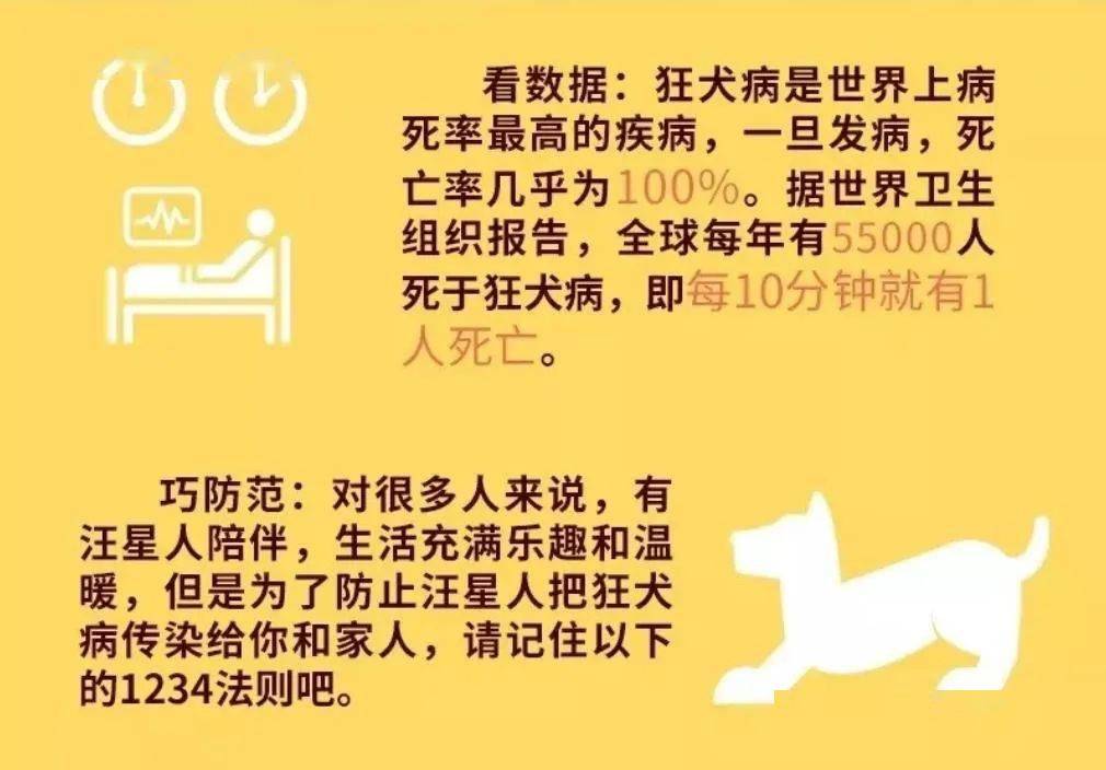 几个月的小狗会得狂犬病吗 e955cd0aba374c8787aa6b68676f04f1.jpeg