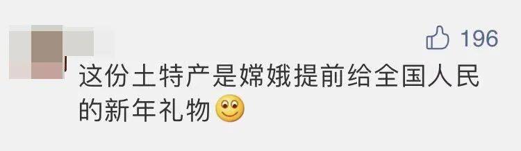 四子王旗|“嫦五”回家，没想到抢镜的是它
