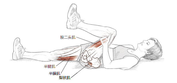 7个动作预防膝盖损伤:加强平衡力 增强肌肉力量!