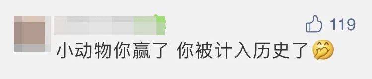 “嫦五”回家，没想到第一个找到的竟然是它？