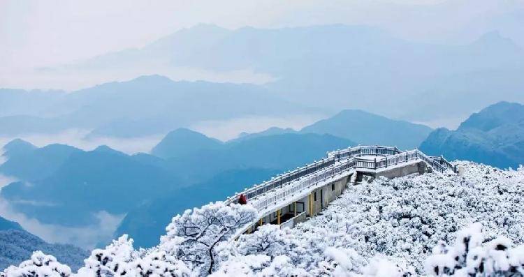 雪漫人间！重庆这些地方都可以赏雪