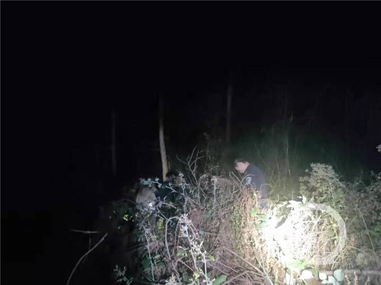 梦境中的死亡意象，解析梦见好多死人的深层含义