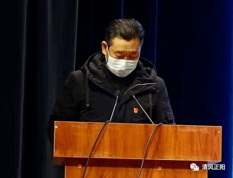 汝南埠人口_河南正阳汝南埠镇地图