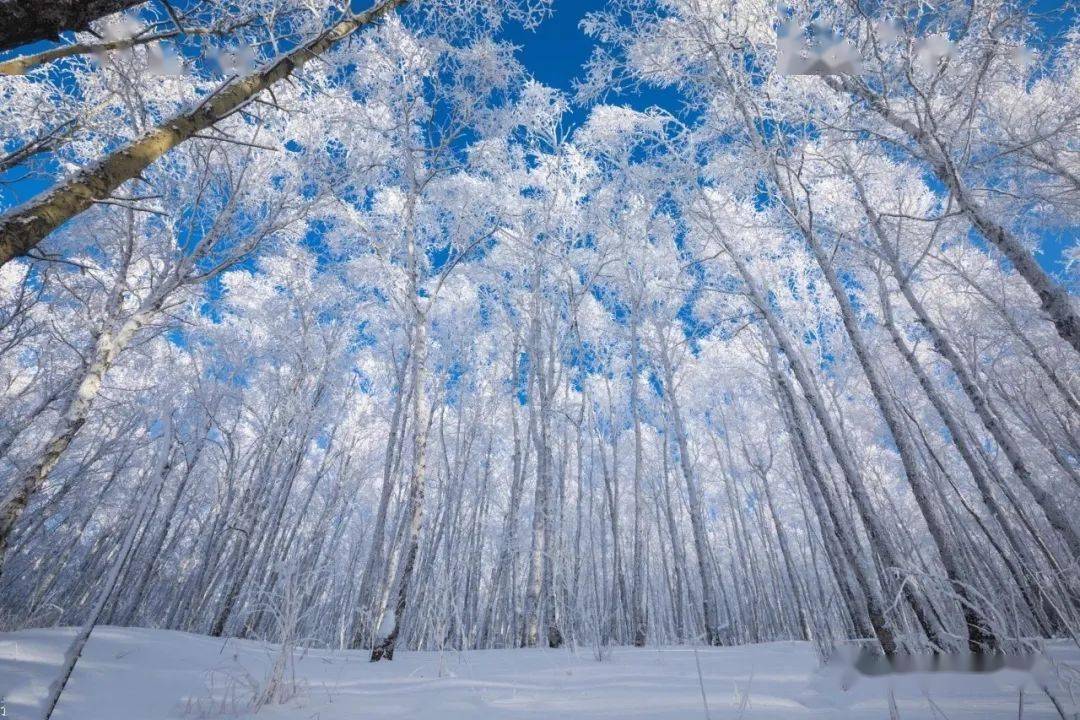 冬日阿尔山邂逅冰雪的童话世界