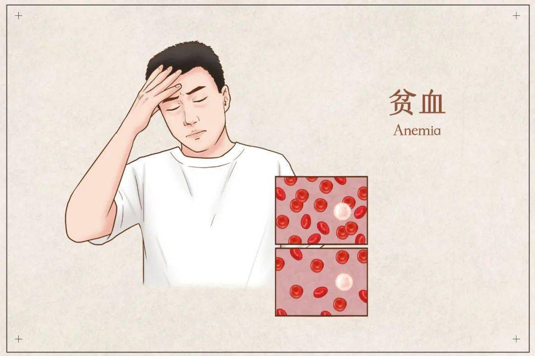 心血管疾病,恶性贫血,甲状腺功能亢进,胃肠道功能紊乱,白癜风,贫血痣