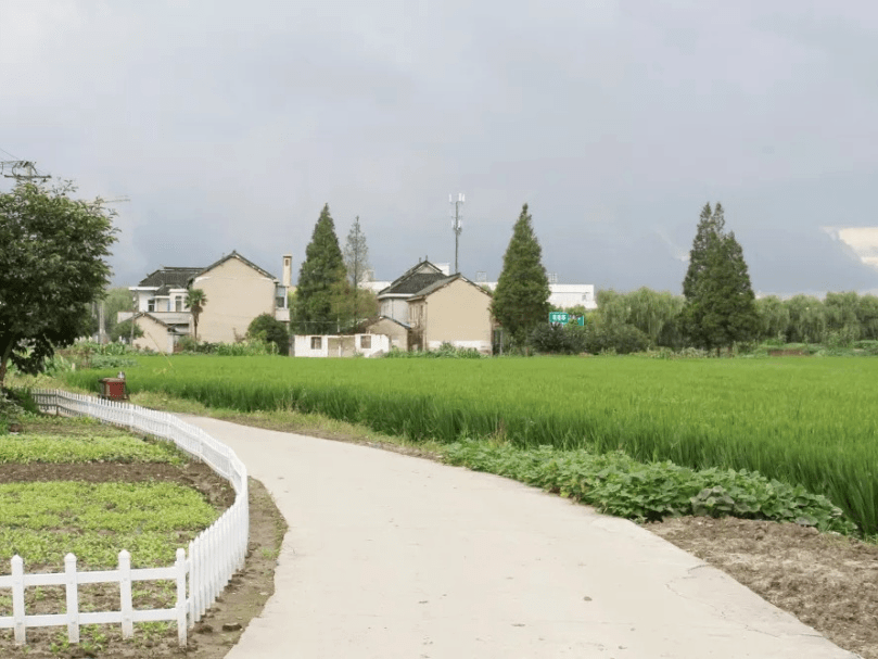 29香花桥街道新桥村30香花桥街道向阳村投票时间即日起至2020年12月