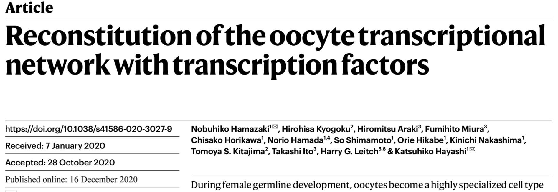 卵细胞|日本团队：仅激活8个基因，小鼠干细胞直接转为可受精细胞
