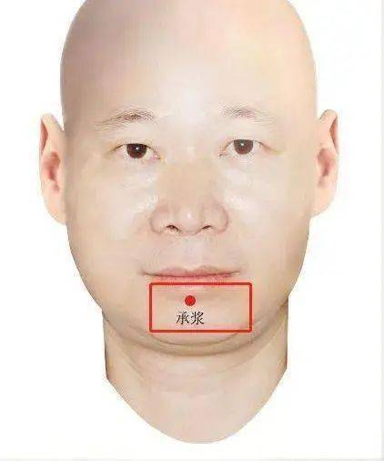 承浆穴位于面部,颏唇沟的正中凹陷处,经常按摩有利于促进面部血液循环