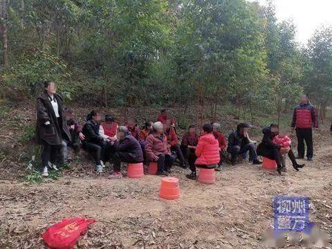 里雍人口_里雍中学(3)