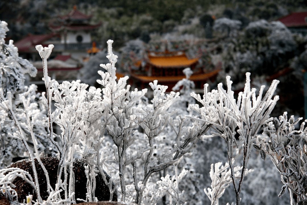 这份福建赏雪赏雾凇攻略必收藏_周宁县