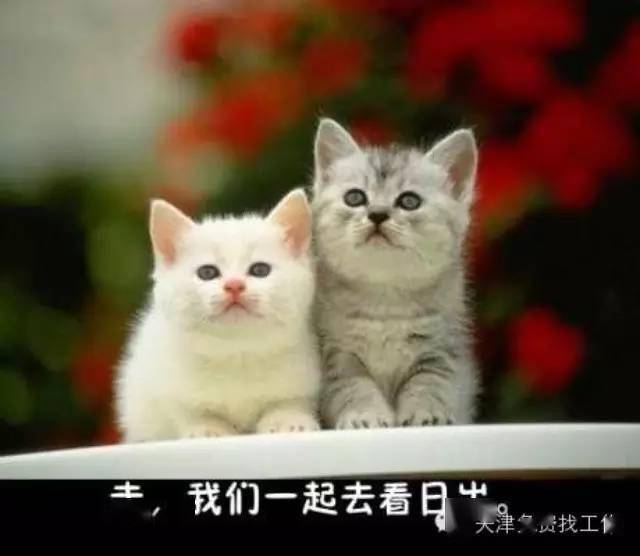 968c71e4d4614f54a31e5c04a7acbe85.jpeg