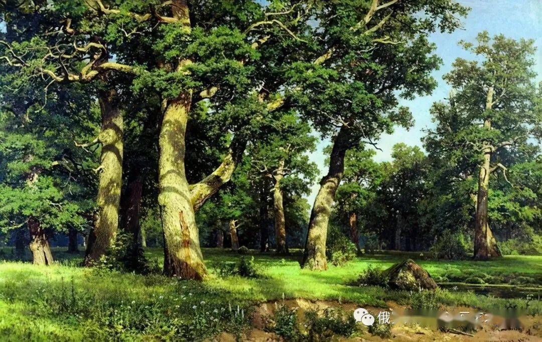 俄罗斯杰出风景画家希施金的油画作品,诗一般的境界!