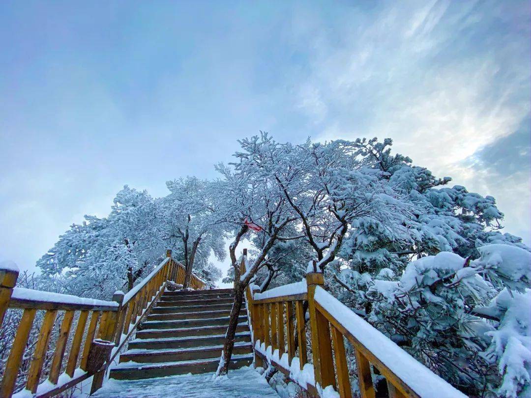 【网红打卡老君山】这个冬天,一定要去老君山,看一场雪的盛事!