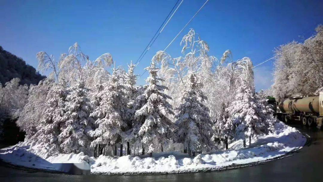 推荐丨你被秦岭雪景刷屏了吗?凤县给您最全赏雪攻略