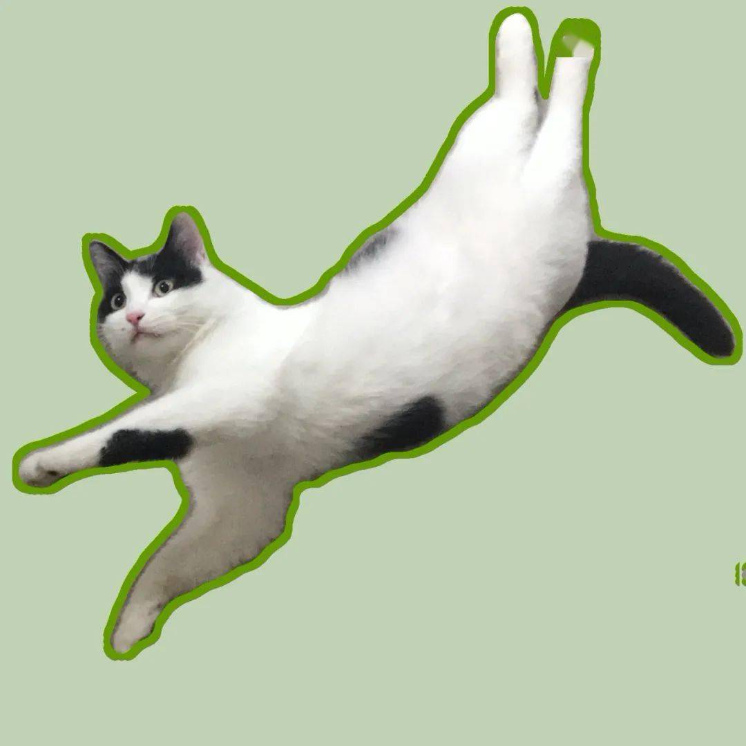 eea5e9c2658846c980f4113c4b4a0c71.jpeg