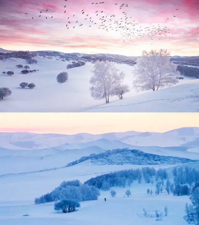 冬日里的坝上草原,皑皑白雪冰封了大地