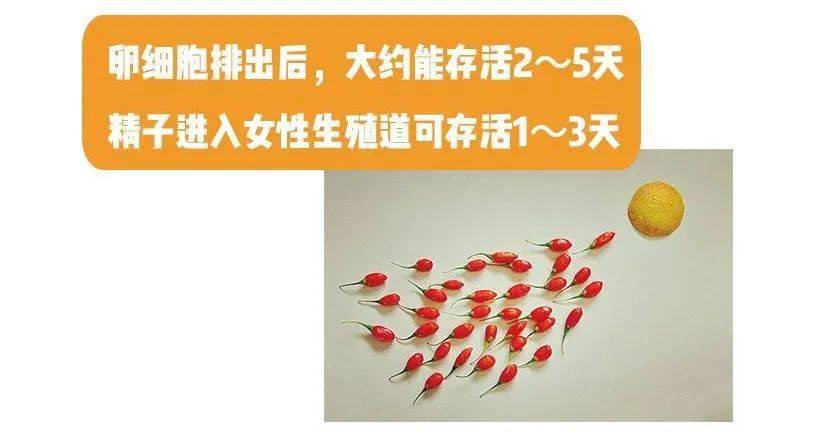 26c1314eab164dae9b3089ee678990d9.jpeg