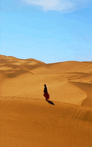 3ec2f066e8df45e38d82a436fa719a46.gif