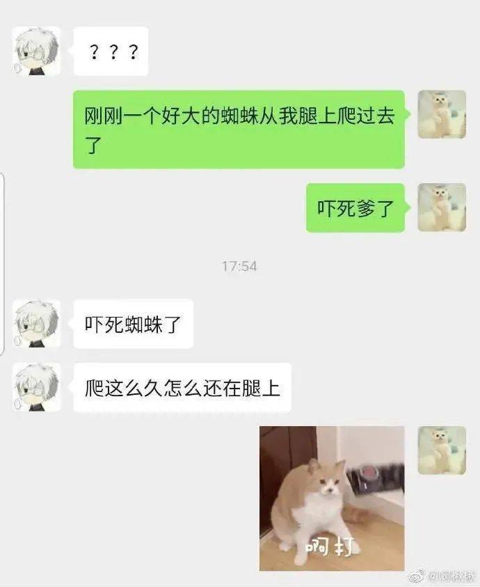 6778c4a0d4c24050892920c8edc446b2.jpeg