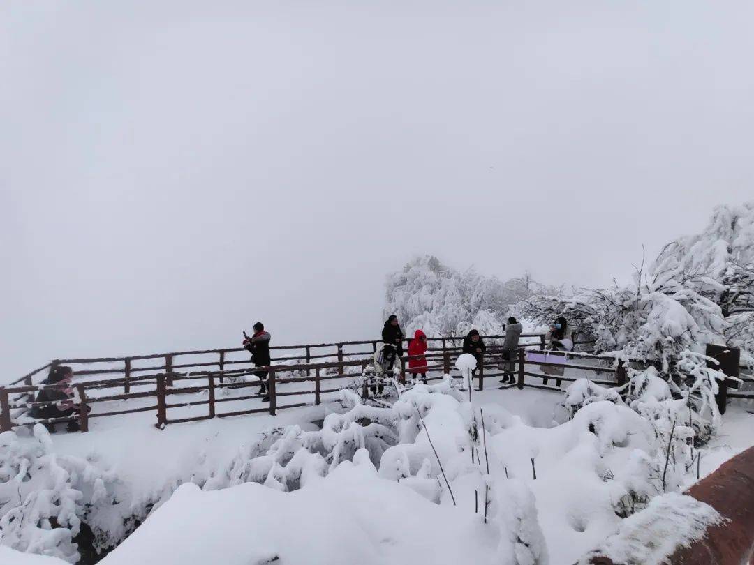 站在山上 看着日出,云海,索道,雪景 这应该是很多人对光雾山的固有