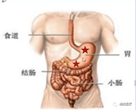 吃饭进到鼻子里怎么办