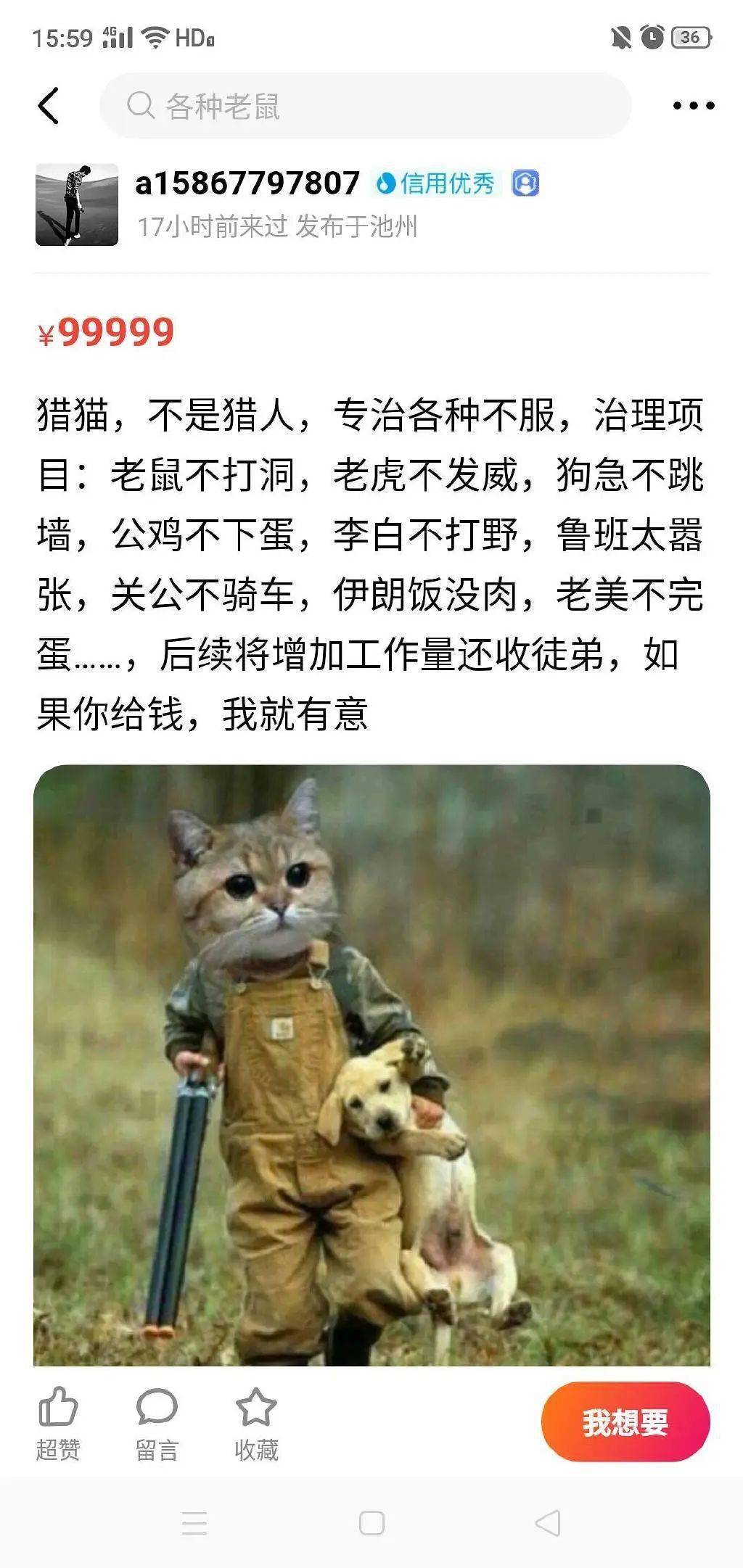 9579b7802ddc4e14b062d9cdd092bf42.jpeg