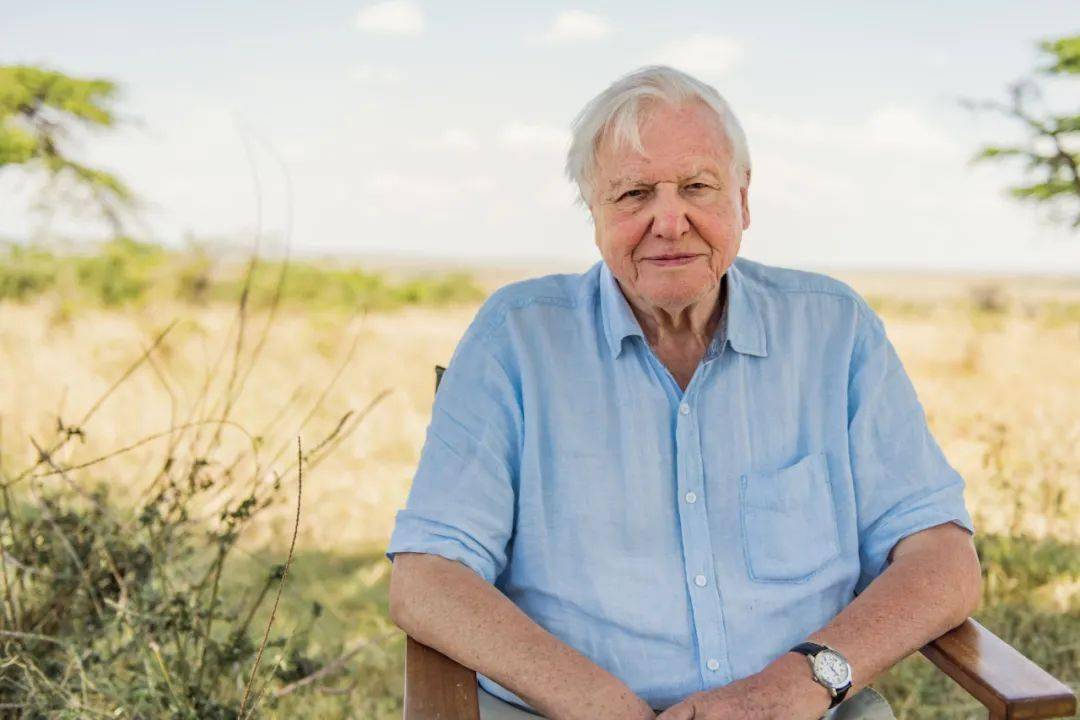 自然纪录片之父大卫61爱登堡davidattenborough2020新作地球上的一