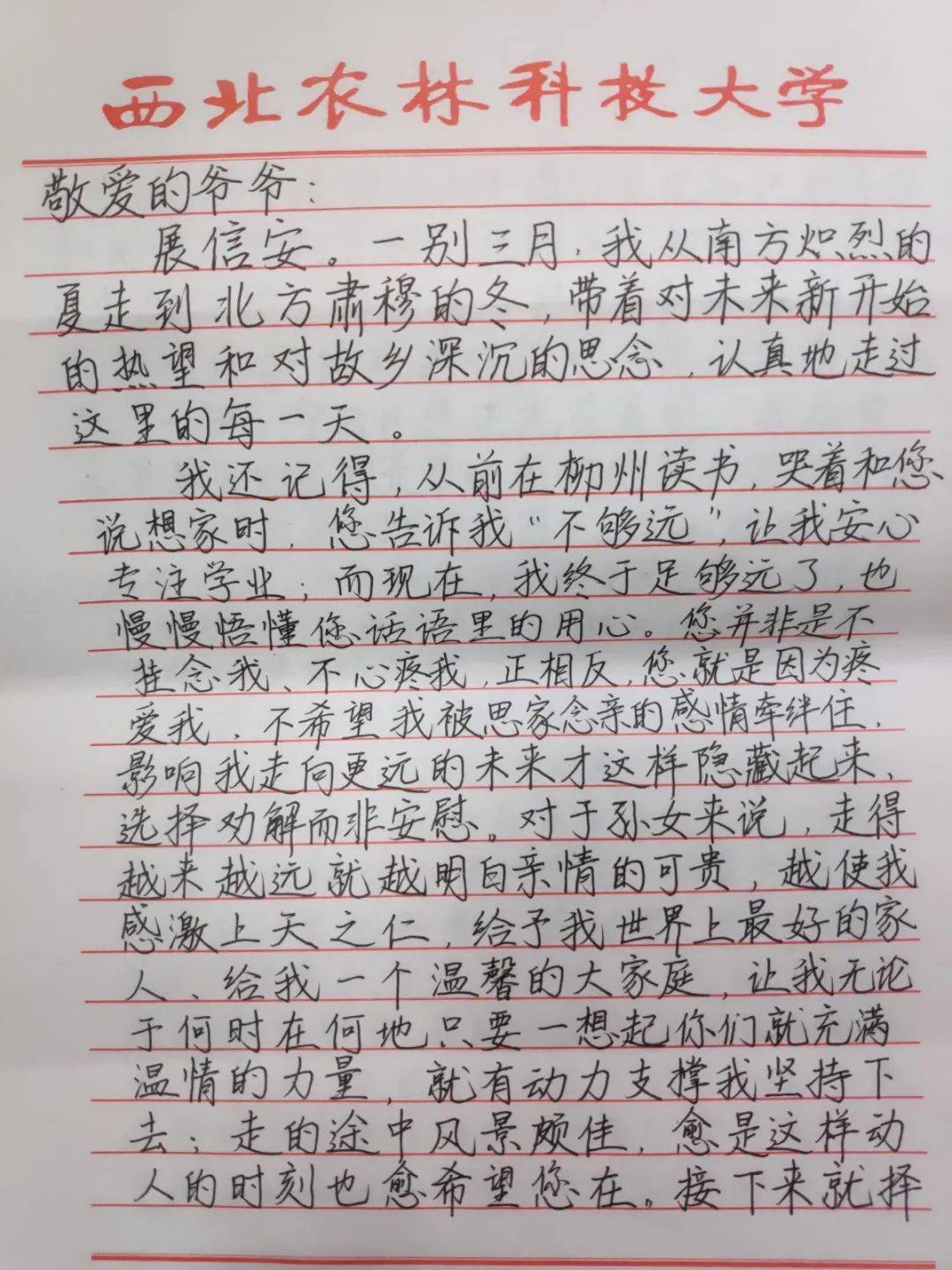 聊表心意简谱_聊表心意薛之谦简谱