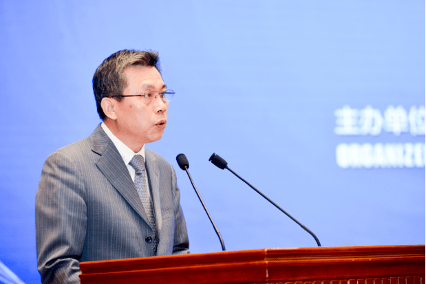 东盟各国GDP2020_东盟各国国旗