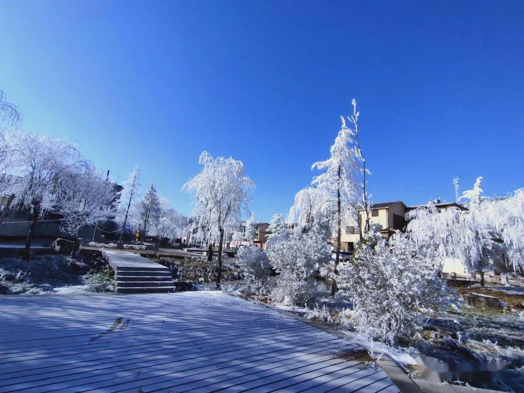 雪后的昭通大山包美呆了!