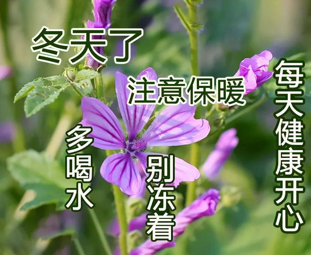 d693d4d7695e42598e9dcf73afbbc981.jpeg