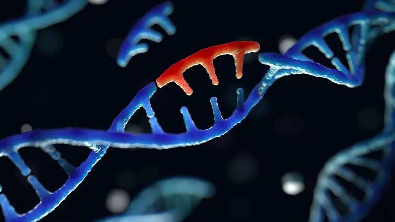 量子力学导致基因突变?科学家们掌握了一些证据