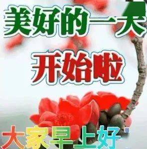 061a95052a8e4b2787d9855101e7dffd.jpeg