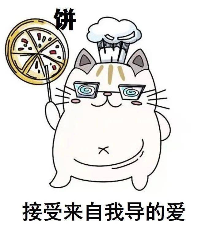 重大版猫咪表情包大公开!