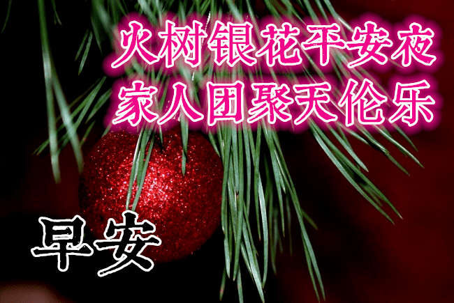 最新平安夜早上好祝福语大全,平安夜问候语句子!