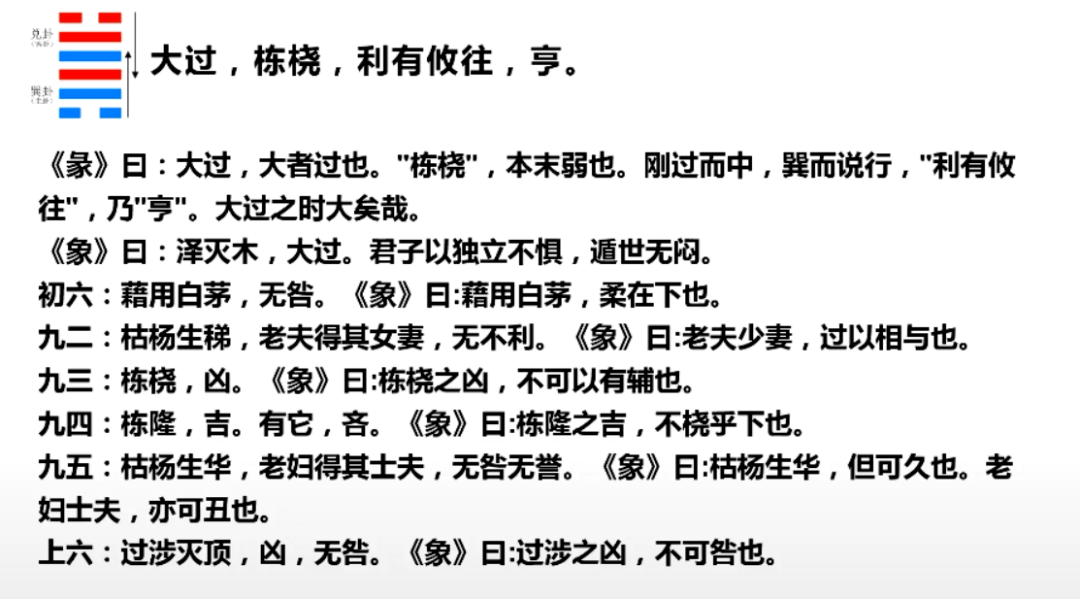 嘉宾分享徐国静大过卦的智慧内刚外柔
