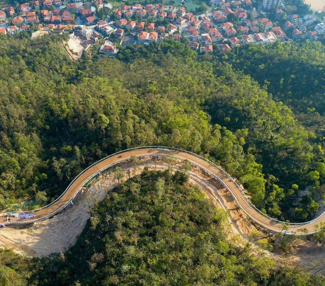 等你来!板樟山山地步道有新消息