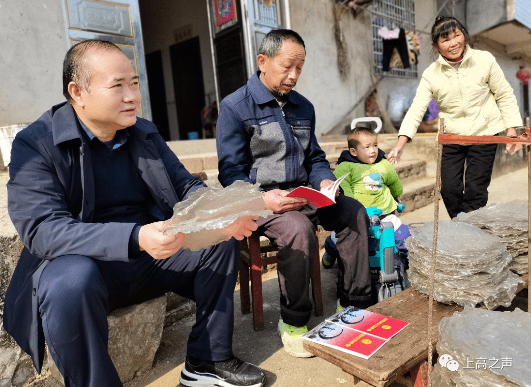 何桦到徐家渡镇调研